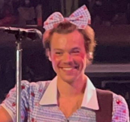 Harry Styles as Dorothy from wizard of oz for harryween